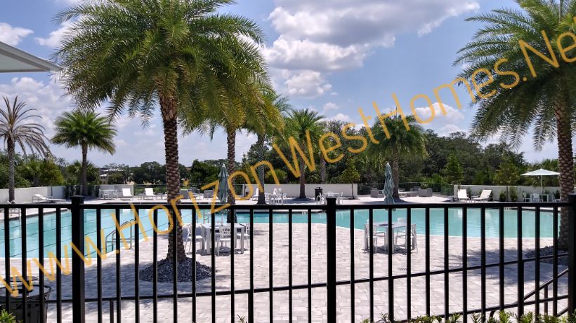 Waterside Pool. In Winter Garden Florida. Homes for sale. Rich Noto Real Estate