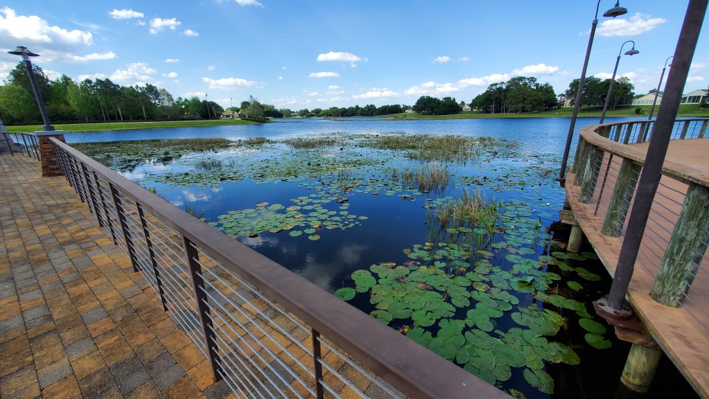 Dell Webb orlando Ridgewood Scenic Lake Views